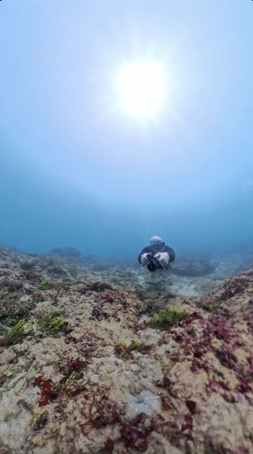 Devil's Island Subnautica Reef Adventure
